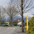 IMG_8342.JPG