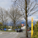 IMG_8344.JPG