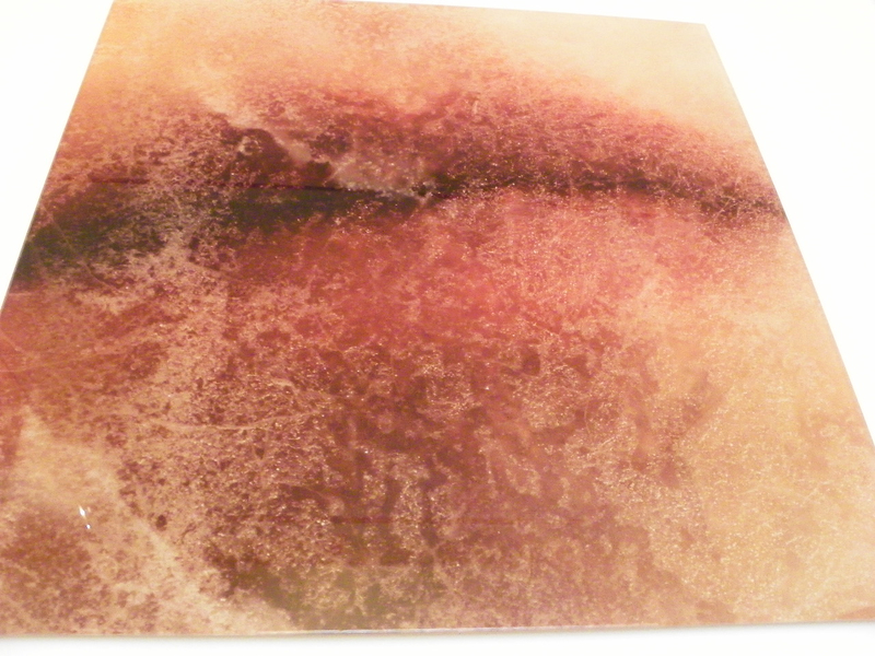 101_2405_jpg-1274305304