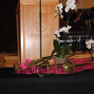 DSC_1450.JPG