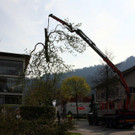 19-042-IMG_5315.JPG