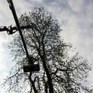 22-045-IMG_5318.JPG