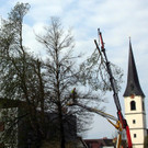 23-051-IMG_5324.JPG