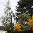 30-072-IMG_5345.JPG