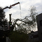 36-090-IMG_5363.JPG