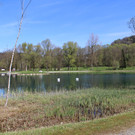 IMG_0319.JPG