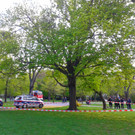 2015-04-20 16_18_53.jpg
