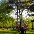 2015-04-20 16_30_04.jpg