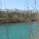 IMG_5120A.jpg