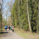 IMG_5125A.jpg