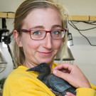 Aufzucht seltener Waldrapp-Küken im Tiergarten Schönbrunn