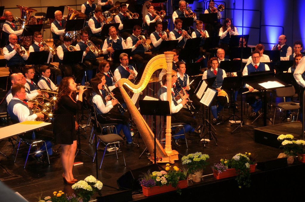 Stadtmusik F-Konzert 2015_wolfgangefferl _ 16_.JPG