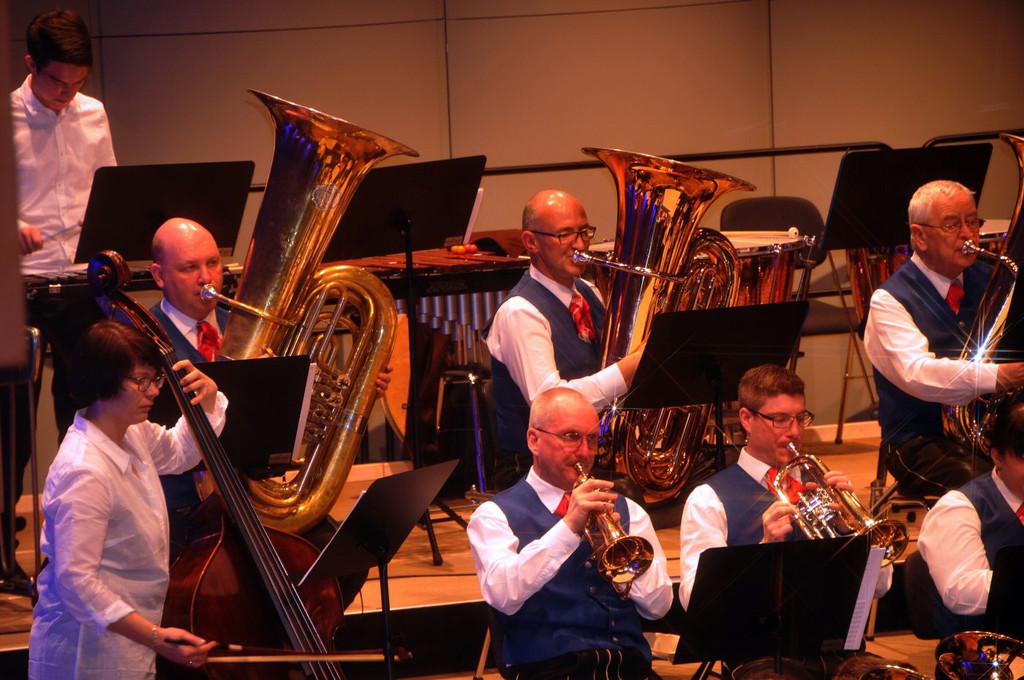 Stadtmusik F-Konzert 2015_wolfgangefferl _ 21_.JPG