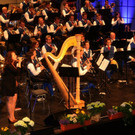 Stadtmusik F-Konzert 2015_wolfgangefferl _ 16_.JPG