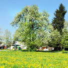 Fru__hling Ho__chst  21-04-2015 47.jpg