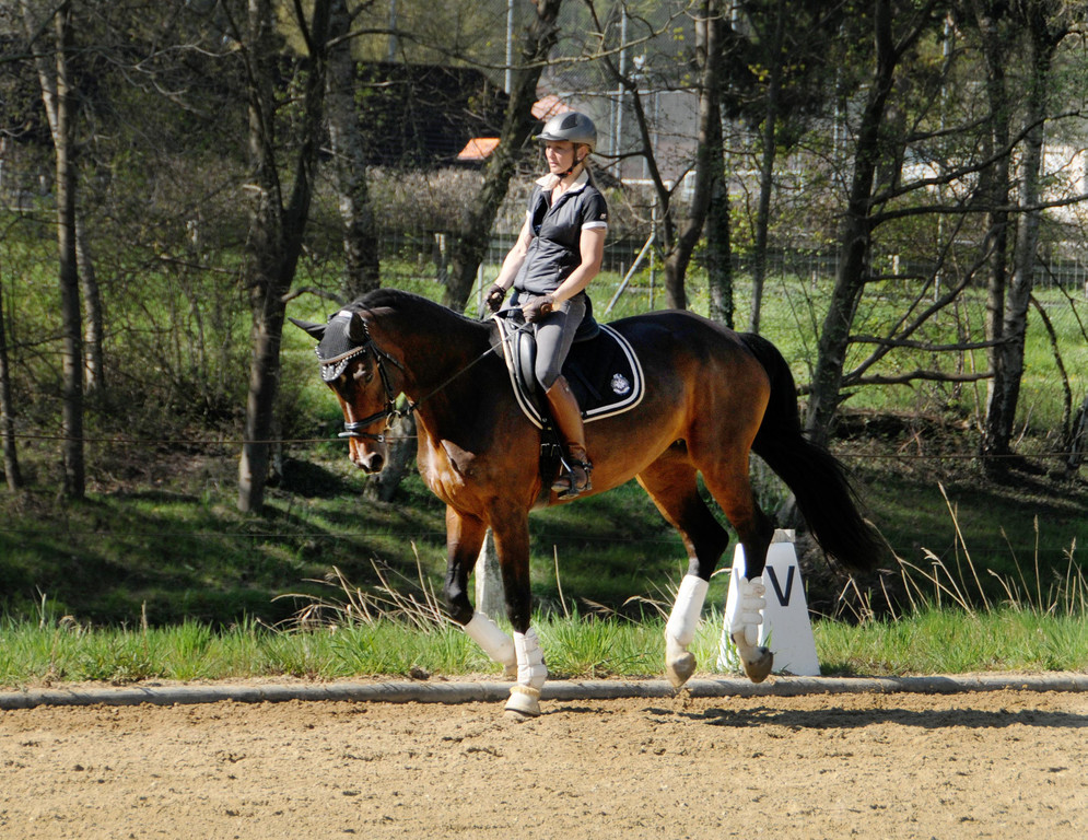 Fru__hling Ho__chst  21-04-2015 20.jpg