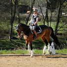 Fru__hling Ho__chst  21-04-2015 20.jpg