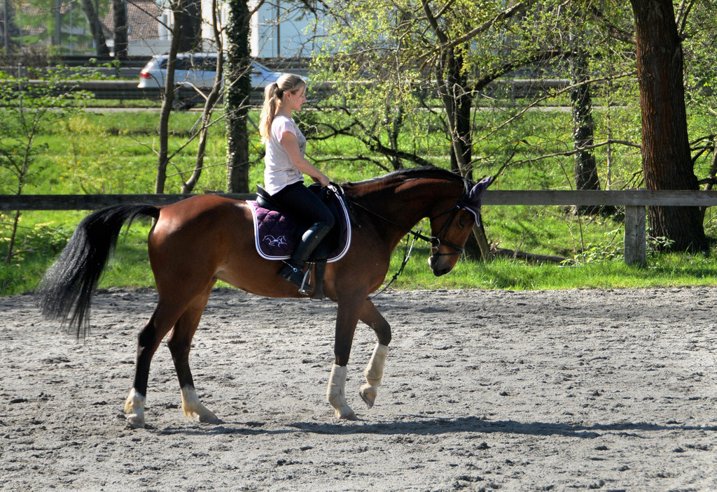 Fru__hling Ho__chst  21-04-2015 26.jpg
