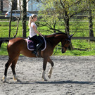 Fru__hling Ho__chst  21-04-2015 26.jpg