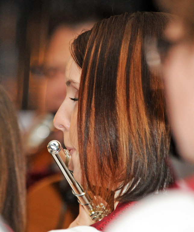 BM Ho__chst_Konzert.jpg