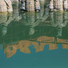 6X0C3936.jpg