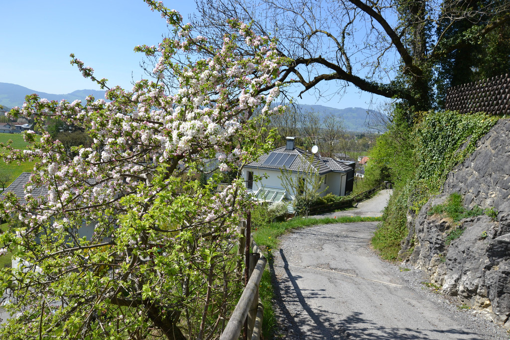 DSC_0157.JPG