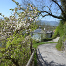 DSC_0157.JPG
