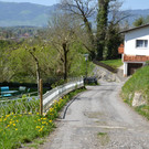 DSC_0156.JPG