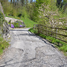 DSC_0151.JPG