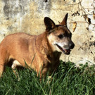 PICT2149.JPG