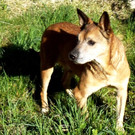 PICT2151.JPG
