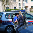 IMG_9313pixel.jpg
