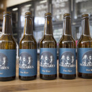 The Makemakes brauen eigenes ESC-Bier