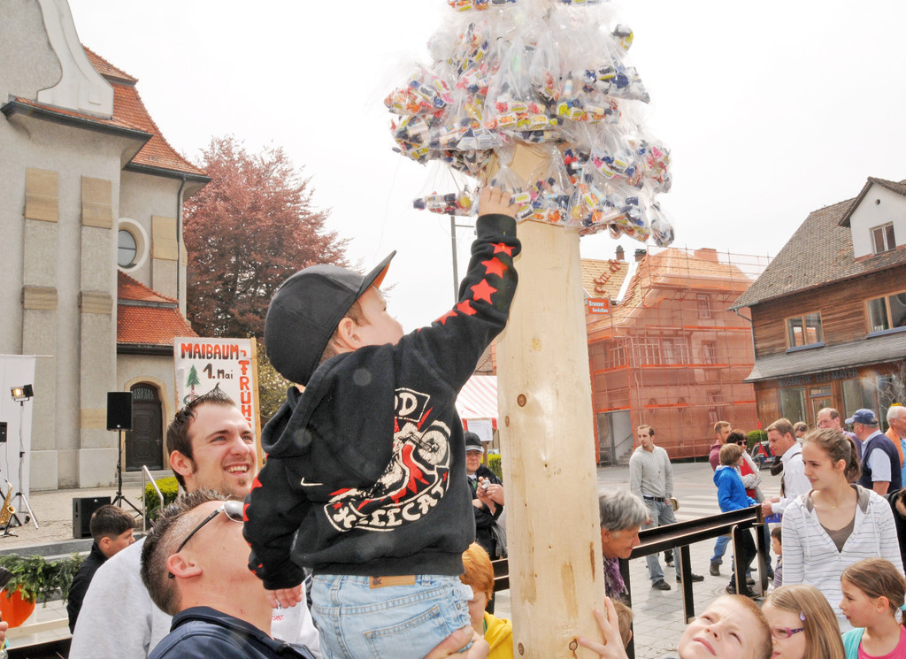 Maibaum Ho__chst 67.jpg