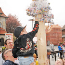 Maibaum Ho__chst 67.jpg