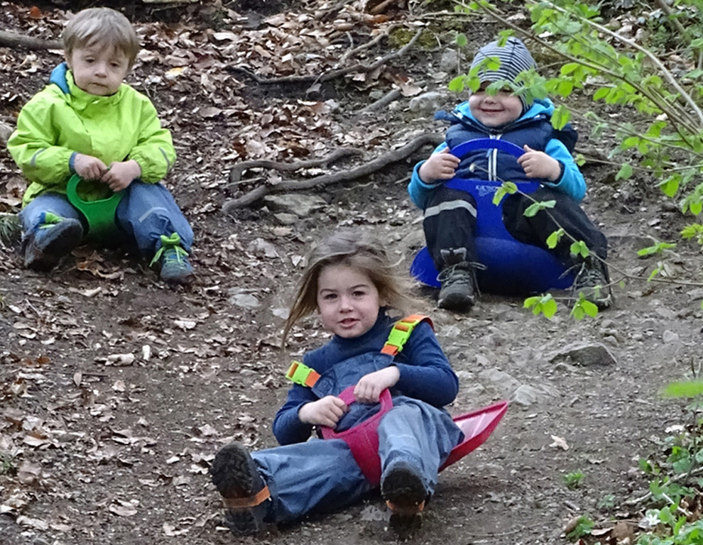 Wald6 rutschen _.jpg