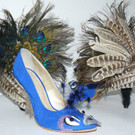 03_Peacock - Kopie.JPG