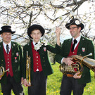 kirschbl__ten _2_.JPG