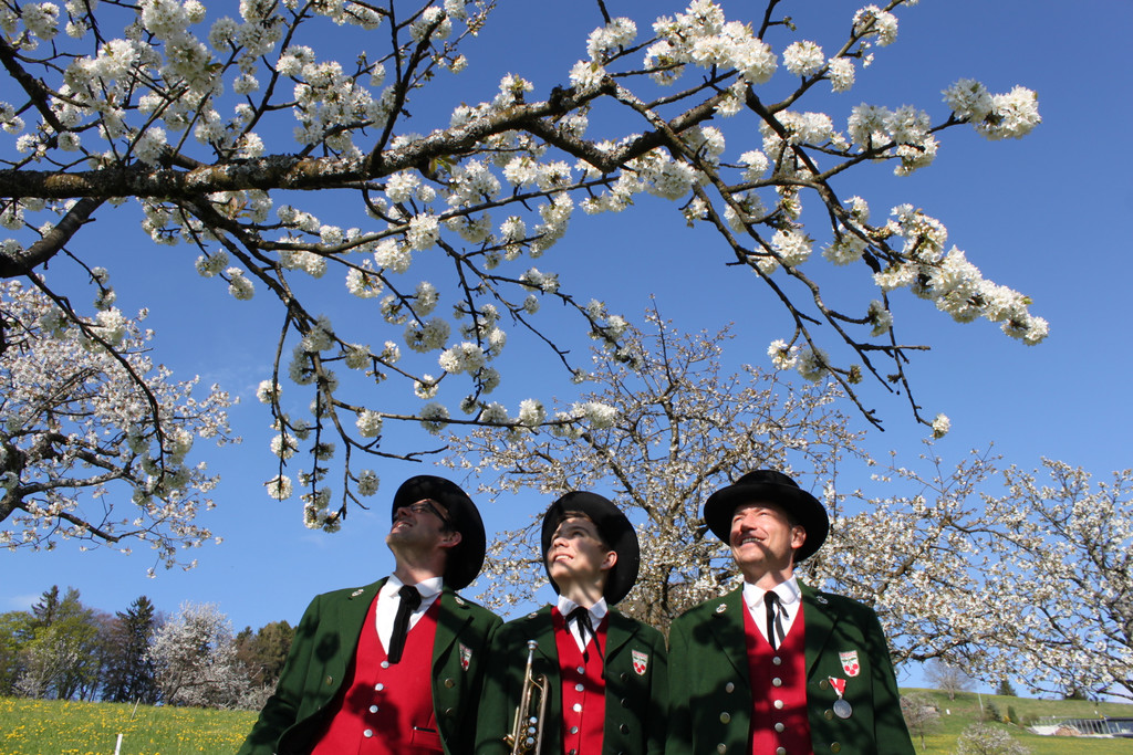 kirschbl__ten _1_.JPG