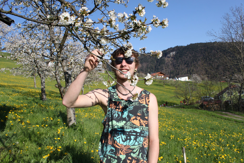 kirschbl__ten _8_.JPG