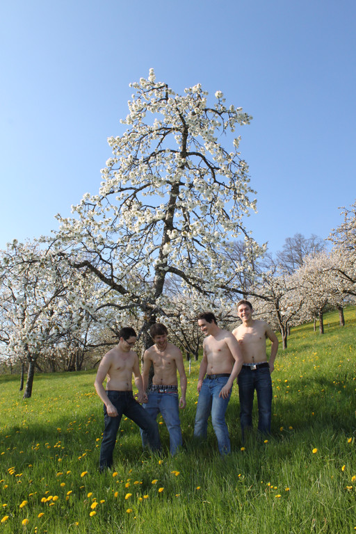 kirschbl__ten _10_.JPG