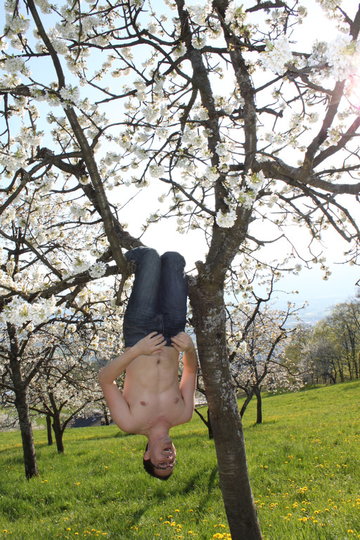 kirschbl__ten _14_.JPG