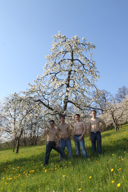 kirschbl__ten _11_.JPG