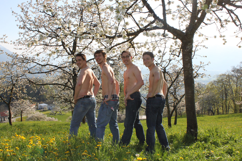 kirschbl__ten _16_.JPG