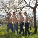 kirschbl__ten _16_.JPG