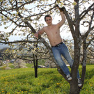 kirschbl__ten _18_.JPG