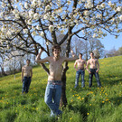 kirschbl__ten _22_.JPG