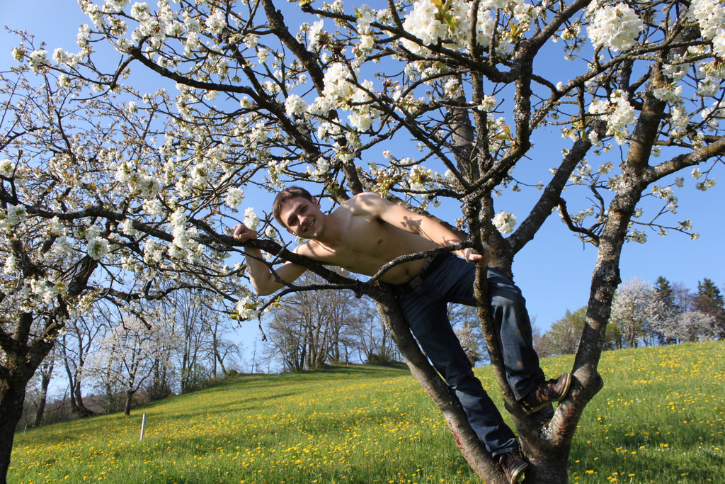 kirschbl__ten _23_.JPG