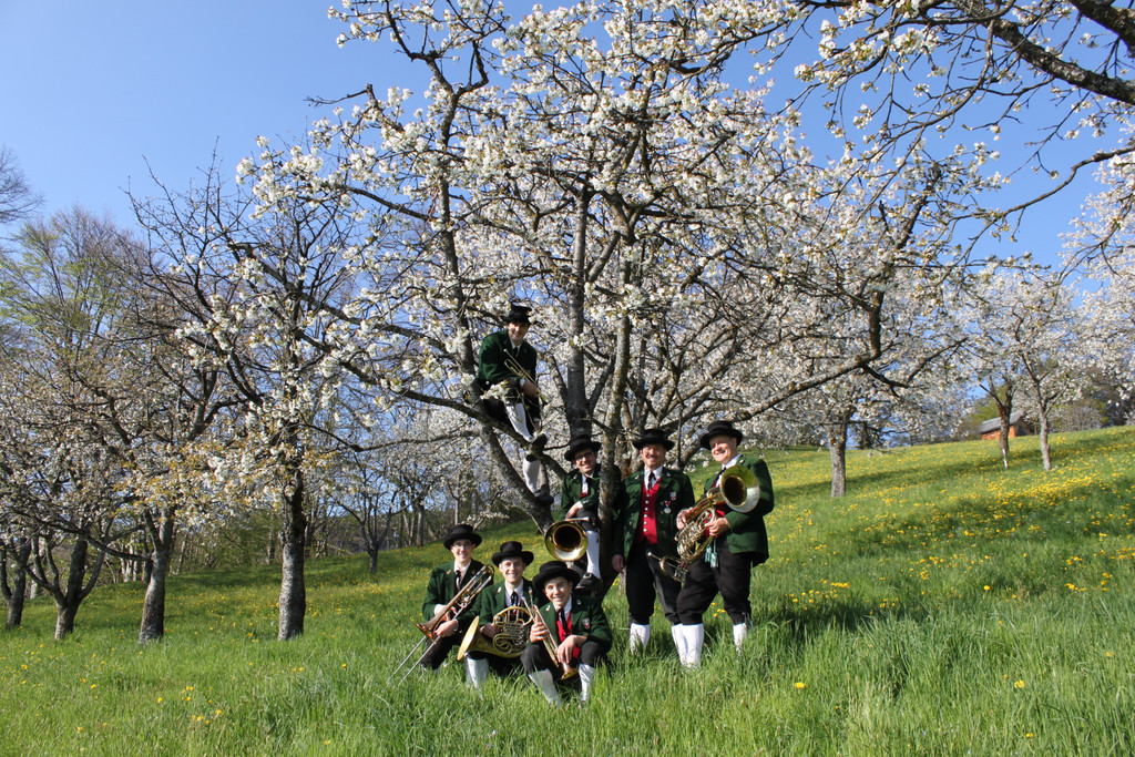 kirschbl__ten _31_.JPG