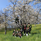 kirschbl__ten _31_.JPG